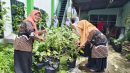 Panen Terong, Wujud Implementasi Program Adiwiyata di MAN 2 Sleman